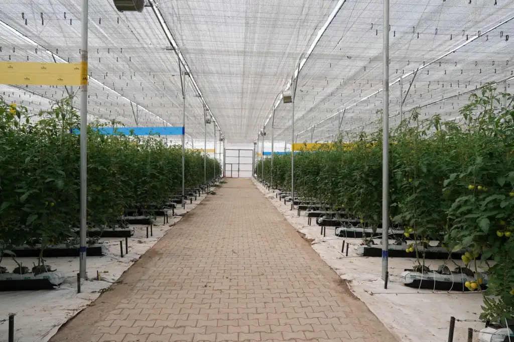 电子科技企业生产工艺流程优化与质量管控实践